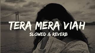 Tera Mera Viah [slowed & reverb] Punjabi Lofi song AlphaMan Editz slowed & reverb music jass manak Resimi