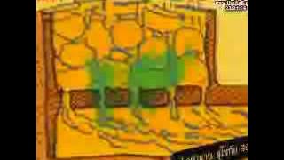 ช่อง8 รายการ คลับ เก๊า เก๋า 22 12 56