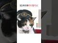たま駅長　#動物雑学 #ねこのきもち #ねこのいる生活