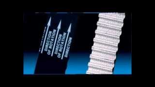 Dayco - Products 2008