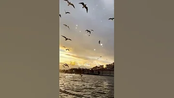 ان ضاقت الأرجاء ماضاق منك رجاء من أجمل الأناشيد الدينية مشاري بن راشد العفاسي 