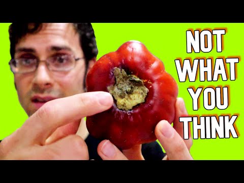 ვიდეო: კოკონას ხილის ინფორმაცია: რჩევები ბაღში კოკონას ხილის მოყვანის შესახებ