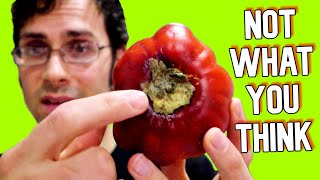 COCONA FRUIT: This Cousin to Tomatoes is Sour but Delicious - Weird Fruit Explorer