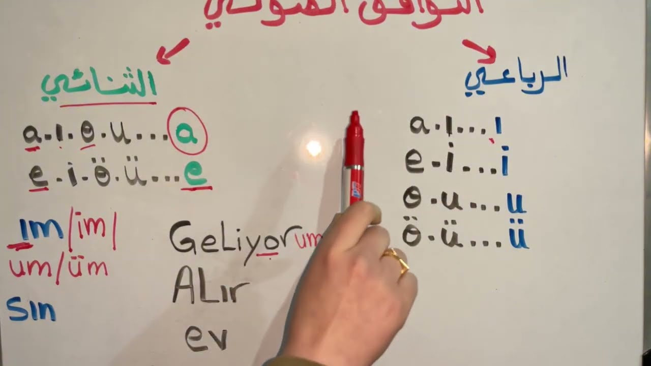 تعلم اللغة التركية: التوافق الصوتي