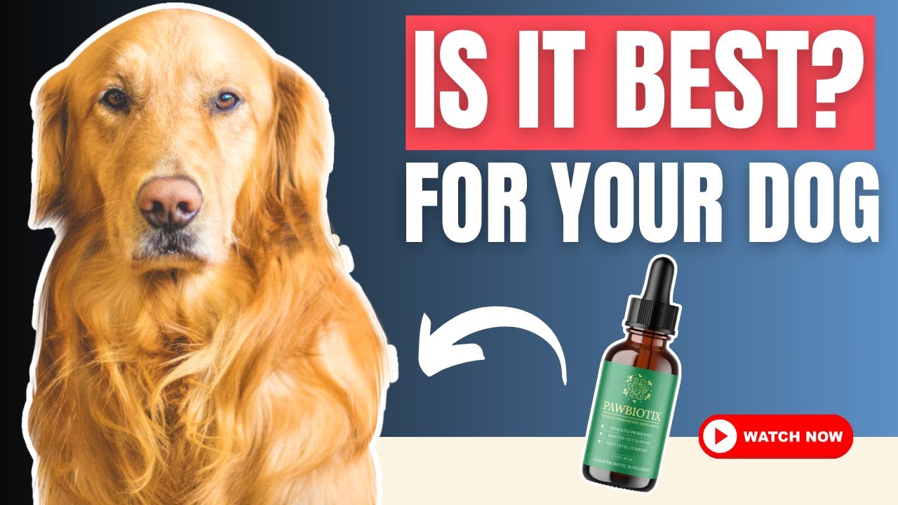 Pawbiotix Review | The Secret to Your Dog’s Health and Energy ( MUST WATCH)