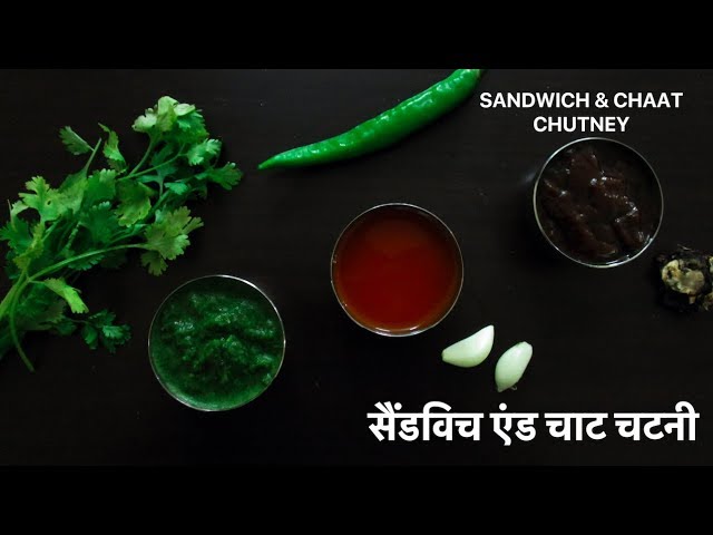 Sandwich and Chaat Chutney |  सैंडविच  और  चाट  चटनी | Best Bites