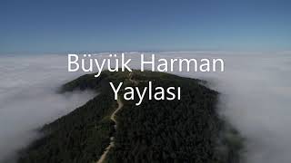 Maki ve Büyük Harman Resimi