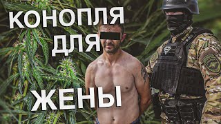 Вызов 02  Конопля для жены