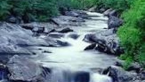 Cara menangkap ikan di sungai/walungan dengan tangan kosong mudah dipelajari Angggun irawan official