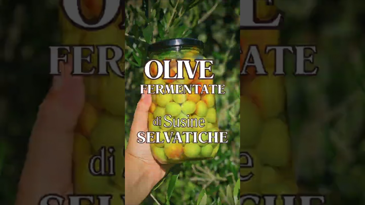 Finte olive di SUSINE selvatiche