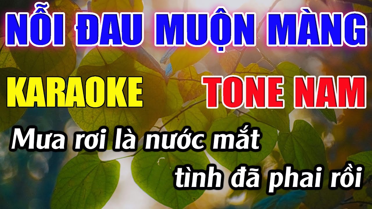 Nỗi Đau Muộn Màng Karaoke Tone Nam ( Am ) Karaoke Đức Duy - Beat 2024