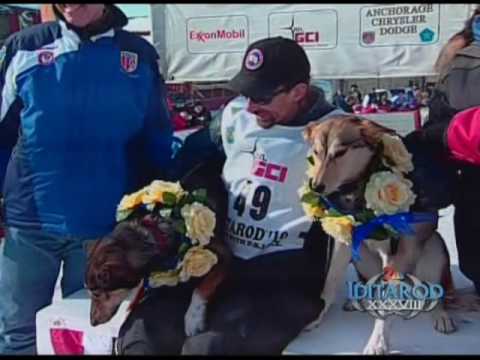 Lance Mackey Wins Iditarod 2010 (Part 5 of KTUU Li...