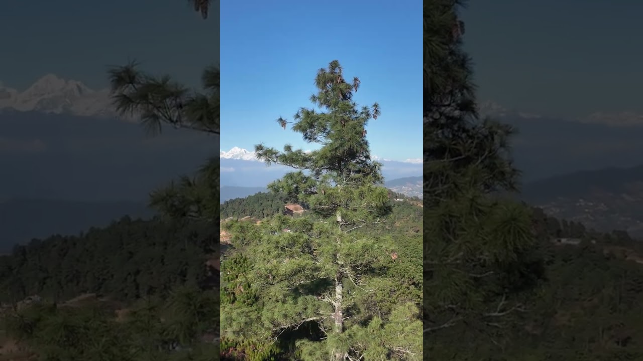 Lakuribhanjyang — Manmohan Memorial Park | Himalayan View, Picnic Spot & Panoramic Kathmandu Valley