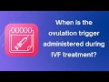 When is the ovulation trigger administered during IVF treatment?