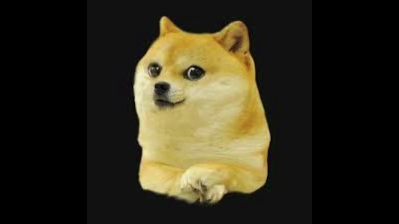 cabrones porfa cuando tosan CIERREN EL OSICO PTM 