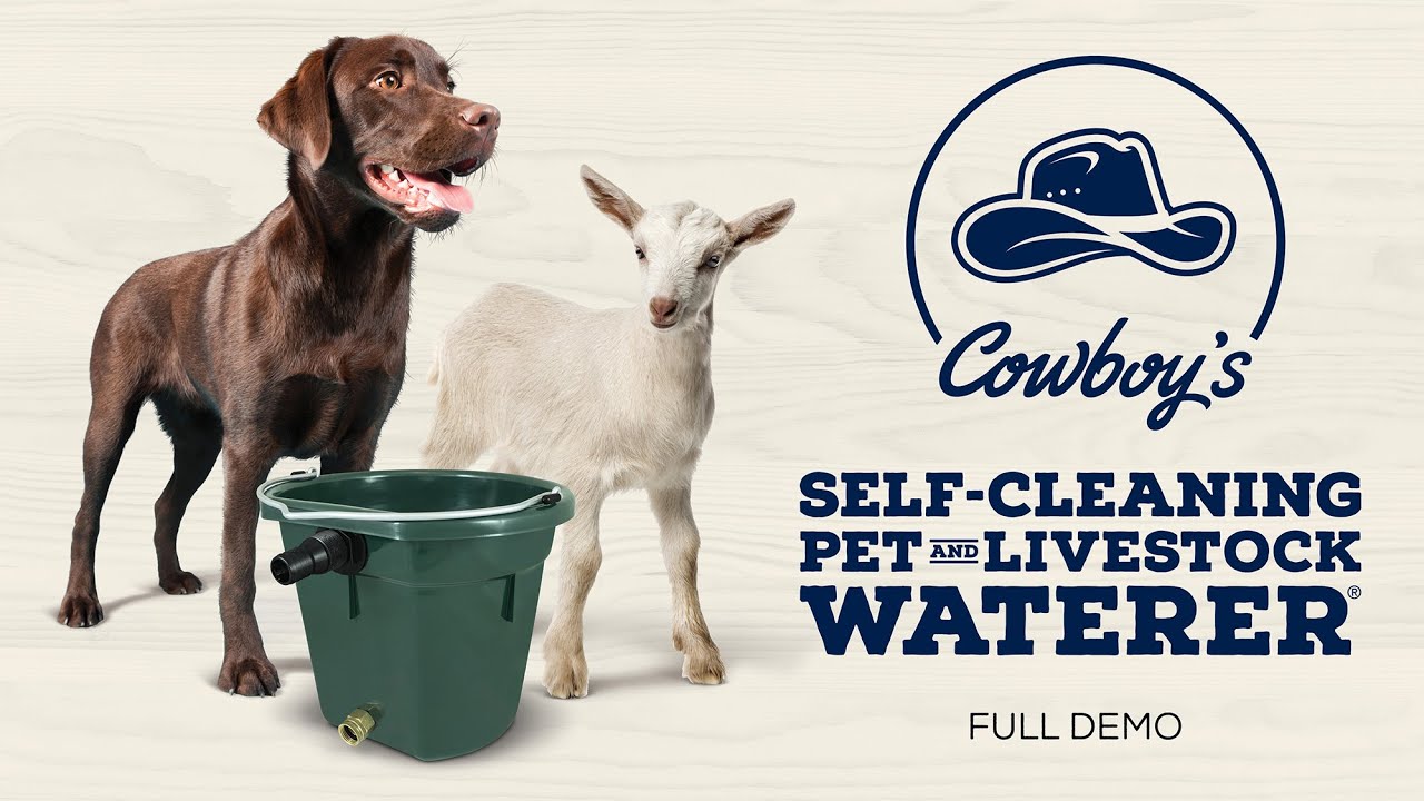 Cowboy's Self-Cleaning, Automatic Pet & Livestock Waterer - Full Demo
