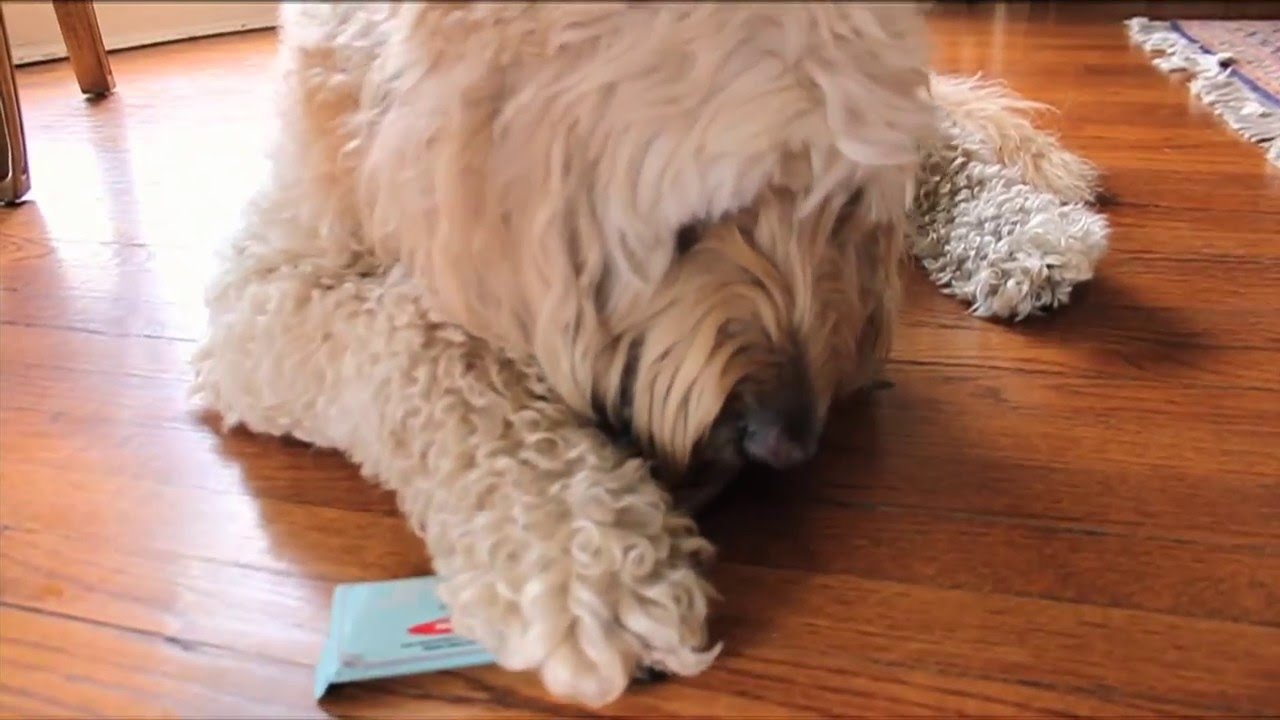 Who wants a JiMMYBAR!?