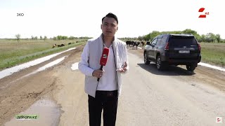 Трасса «Казталовка - Жанибек - граница РФ»: идеальная дорога с препятствиями | Дороги KZ