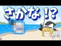 【ゆっくり茶番】一番大物を釣り上げるのは誰だ?!まったり大物釣り選手権!