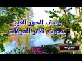وصف الحور العين بصوت ظفر النتيفات وصف الحور العين بصوت ظفر النتيفات