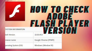 How to check Adobe flash player version in Browser