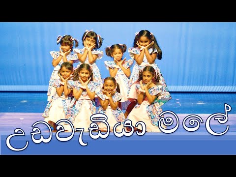 Houston Sri Lankan Show   Kala Ranga   2023   Udawadiya Male Dance      