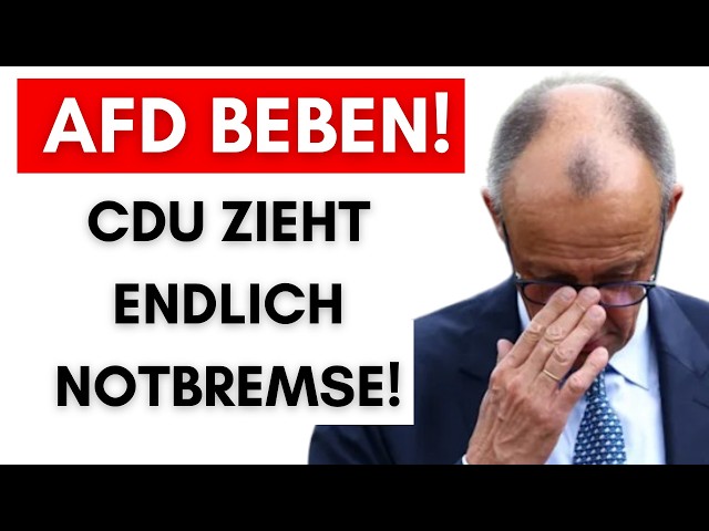 CDU Brandenburg will Brandmauer beenden, weil massenhaft Überläufer drohen!