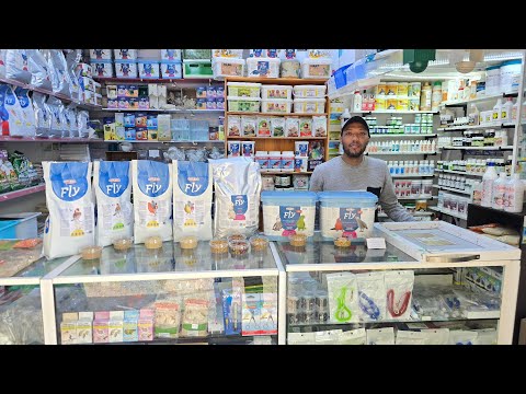 الجديد عند يوسف جميع أنواع الباطي المكملات أقفاص أكسيسوارات كل ما يحتاجه المربي فرجة ممتعة