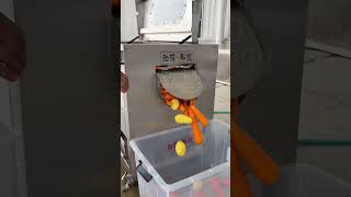 #PotatoPeeler #FoodProcessingMachine #IndustrialEquipment #PotatoWashingMachine #FoodMachinery