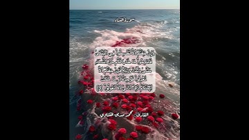 سورة النساء ٣ #قرآن #قرآن_كريم #قران #قران_كريم #قرأن #quran