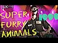 Capture de la vidéo Super Furry Animals  / Live In Uk 1999　脳内キノコ大量発生！