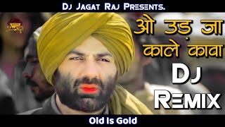 Dj Jagat Raj|Udja Kale Kawa DJ Remix Song | Gadar 2 Movie | Hindi Dj Song |Dj Jagat Raj