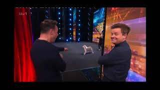 BGT AUDITIONS 2024 WEEK 1 - THE TRICKSTARS (A TOP DOG ACT!)