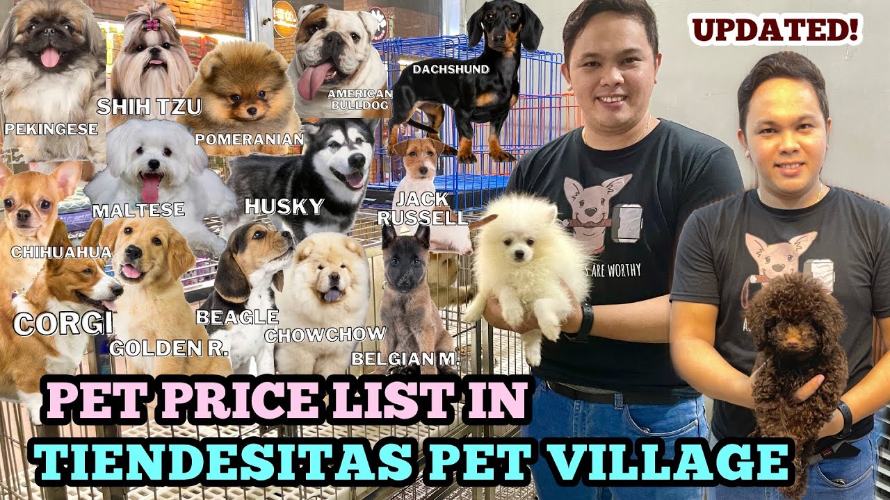 updated-pet-price-list-in-tiendesitas-pet-village-rare-breeds
