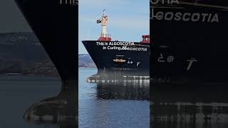 Fuel Doesn’t Just Appear in Newfoundland | ALGOSCOTIA in Curling, NL