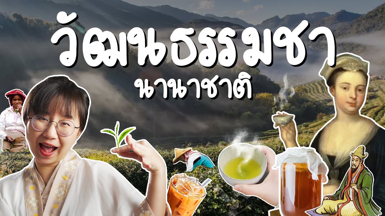 วัฒนธรรมชานานาชาติ I Point of View x Mind Kombucha