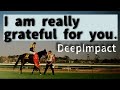 R.I.P. DeepImpact 無敗の三冠達成ドキュメンタリー