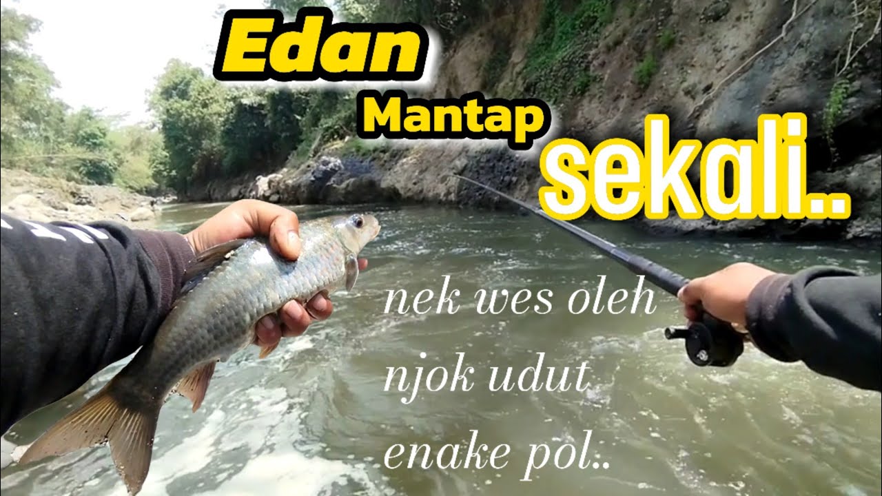 EDAN MANTAP SEKALI BEROTAN YA IKAN NILEM SUNGAI PROGO TEMANGGUNG @Nopinpo fishing