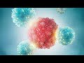 10 Breakthroughs in Cancer Research Bringing Real Progress in 2026