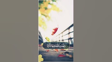 من اجمل التلاوات ٧
