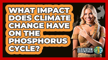 What Impact Does Climate Change Have On The Phosphorus Cycle? - Ecosystem Essentials