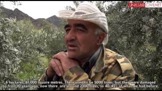 Թիմը գնում է Ալվանք / Straight to Alvank(In this week's episode, Tim visits the village of Alvank, right on the border of Iran and Armenia, as he has learnt that two brothers in that village own an olive ..., 2013-06-10T10:37:41.000Z)