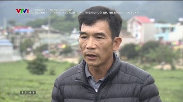 Công ty Cổ phần Vinatea Mộc Châu - Doanh nghiệp hội nhập