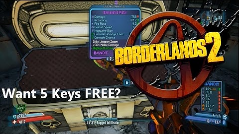 I Open 5 Keys in Borderlands 2 + FREE SHiFT CODES FEBRUARY-MARCH!