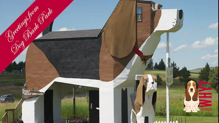 Why? Episode 135- Dog Bark Park