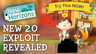 Animal Crossing New Horizons  New 2.0 EXPLOIT Revealed (ACNH Trick)