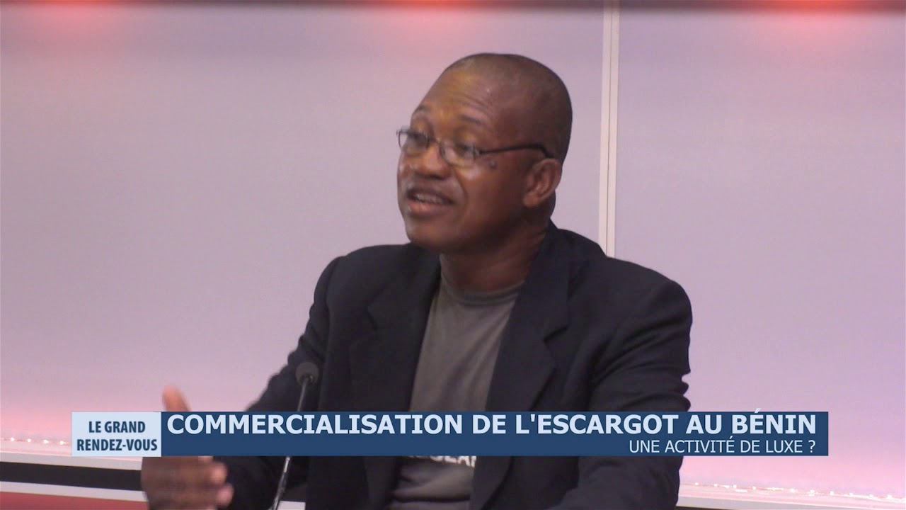 Commercialisation de l'escargot au Bénin - Une activité de luxe
