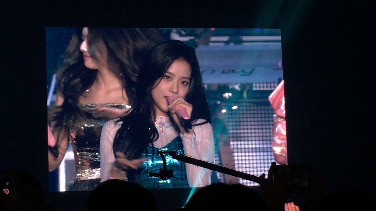 REALLY - BLACKPINK IN YOUR AREA IN SEOUL DAY2 [18.11.11]