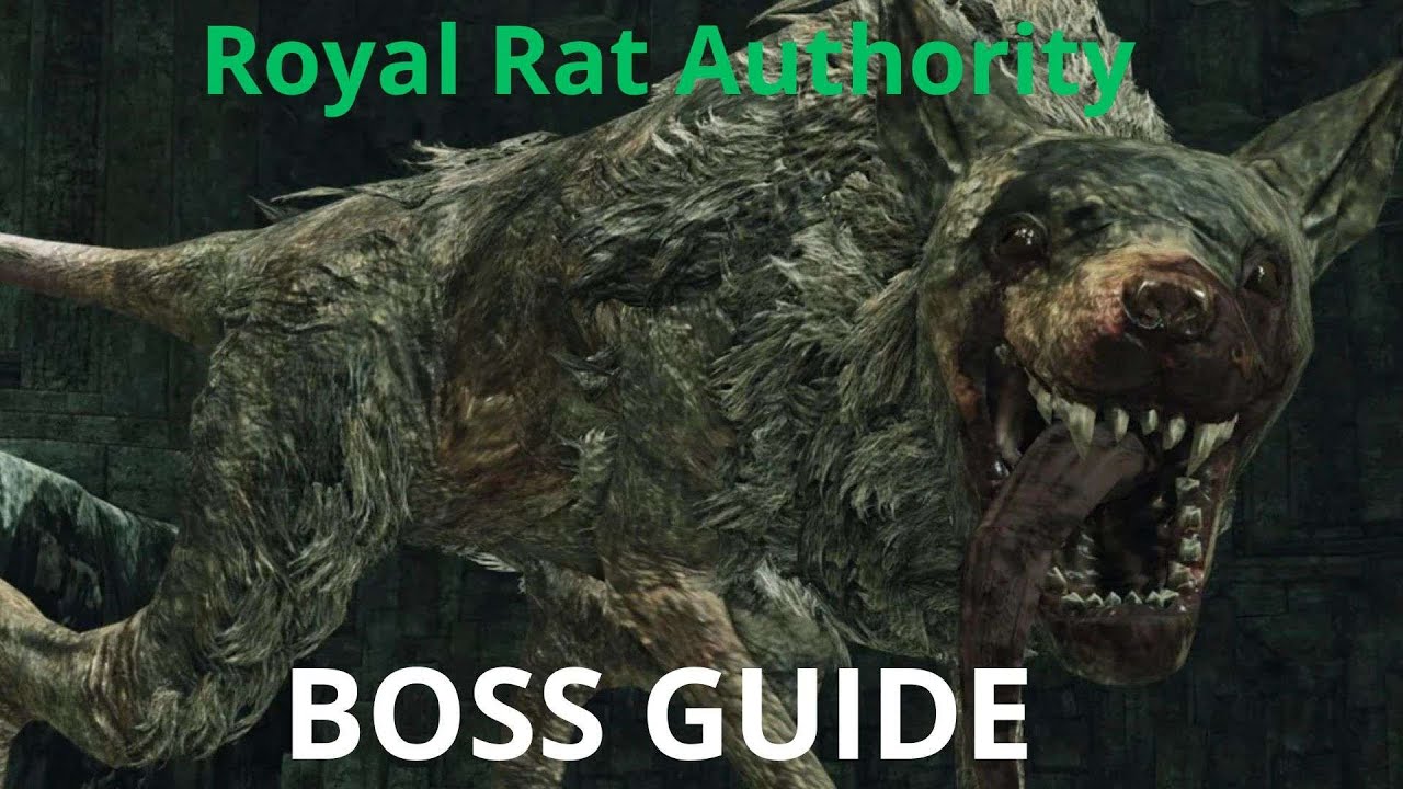 Dark Souls 2 | SOTFS BOSS GUIDE | Royal Rat Authority - YouTube