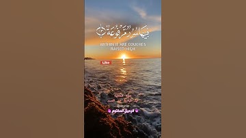 روائع عبد الباسط عبد الصمد - لا تسمع فيها لاغية من سورة الغاشية